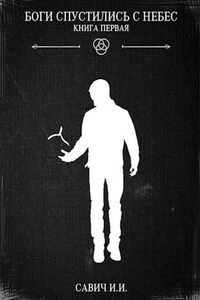 Боги спустились с небес. Книга первая