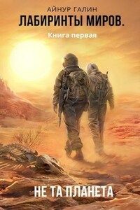 Лабиринты миров.  Книга первая. "Не та планета"