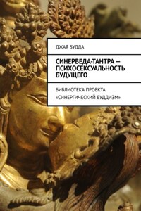 Синерведа-тантра – психосексуальность будущего. Библиотека проекта «Синергический буддизм»