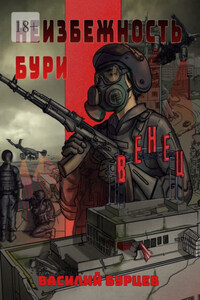 Неизбежность бури