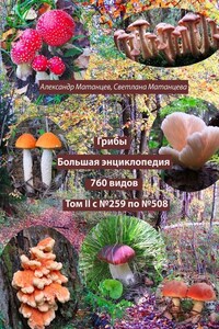 Грибы. Большая энциклопедия. 760 видов. Том II с №259 по №508
