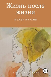 Жизнь после жизни: между мирами