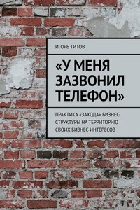 «У меня зазвонил телефон». Практика «захода» бизнес-структуры на территорию своих бизнес-интересов