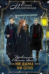 Провинциалка в высшем свете. Книга 3. Ни дыма, ни огня