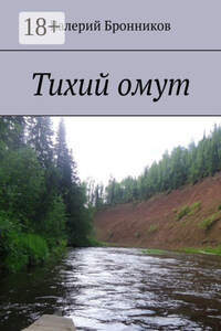 Тихий омут
