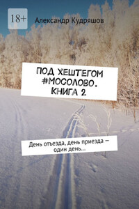 Под хештегом #Мосолово. Книга 2. День отъезда, день приезда – один день…