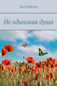 Не одинокая душа