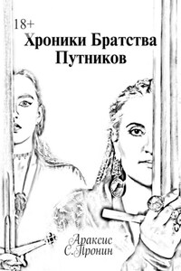 Хроники Братства Путников. История в инкарнациях