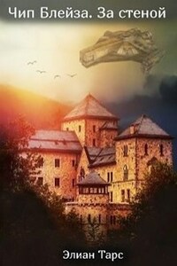 Чип Блейза 3. За стеной