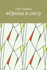 вОроны в снегу
