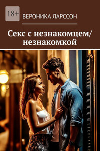 Секс с незнакомцем/незнакомкой