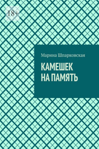 Камешек на память