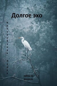 Долгое эхо