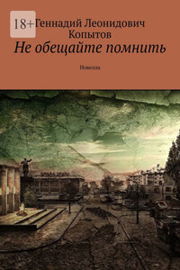 Не обещайте помнить. Новелла