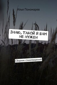 Знаю, такой я вам не нужен. Сборник стихотворений