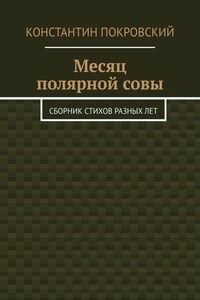 Месяц полярной совы. Сборник стихов разных лет
