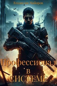 Профессионал в системе. Книга 1.