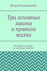 Три основных закона и правила жизни. Не убий, не укради, не лжесвидетельствуй