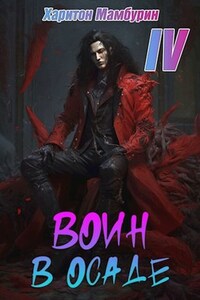 Книга четвертая. Воин в осаде