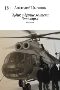 Чудик и другие жители Заполярья. Рассказы