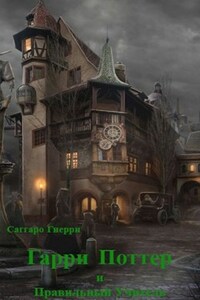 Гарри Поттер и Правильный Учитель