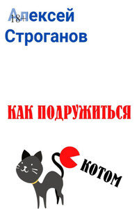 Как подружиться с котом