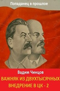Важняк из двухтысячных. Внедрение в ЦК - 2