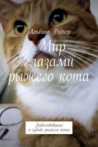 Мир глазами рыжего кота. Повествование о судьбе рыжего кота