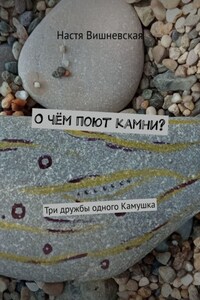 О чём поют камни? Три дружбы одного Камушка