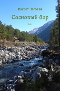 Сосновый бор. Хайку