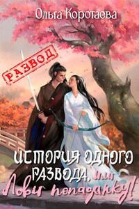 История одного развода, или Лови попаданку!