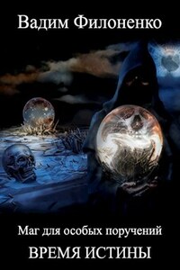 Время истины (Маг для особых поручений 4)