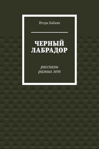 Черный лабрадор