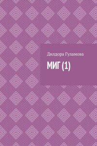 Миг (1)