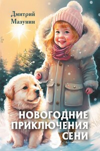 Новогодние приключения Сени