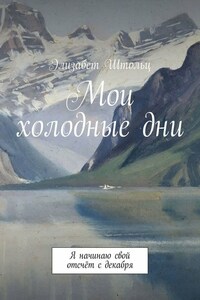 Мои холодные дни. Я начинаю свой отсчёт с декабря