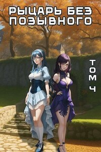 Рыцарь без позывного (Том: IV)