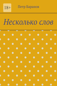 Несколько слов