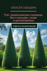 Туя: энциклопедия садовода. Все о посадке, уходе и размножении. Советы и рекомендации