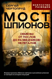 Мост шпионов. Обмены: от послов до разведчиков-нелегалов