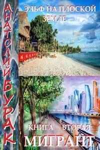 Эльф на плоской Земле. Книга 2. Мигрант.