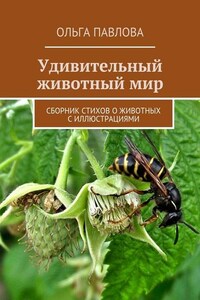 Удивительный животный мир. Сборник стихов о животных с иллюстрациями