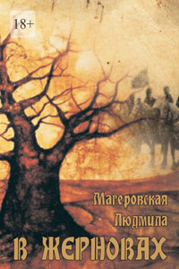 В жерновах