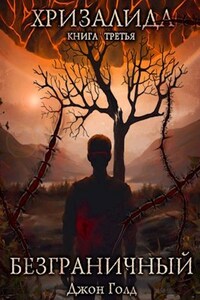 Хризалида. Книга третья. Безграничный.