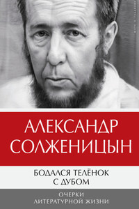 Бодался телёнок с дубом. Очерки литературной жизни. Том 1