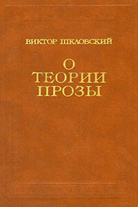 О теории прозы