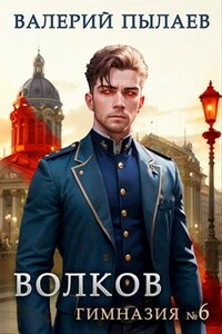 Волков. Гимназия №6