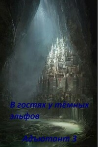 Адъютант 3. В гостях у тёмных эльфов.