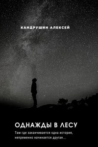 Однажды в лесу. Там где начинается одна история, непременно начинается другая…