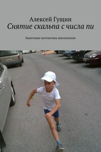 Снятие скальпа с числа пи. Квантовая математика школьникам